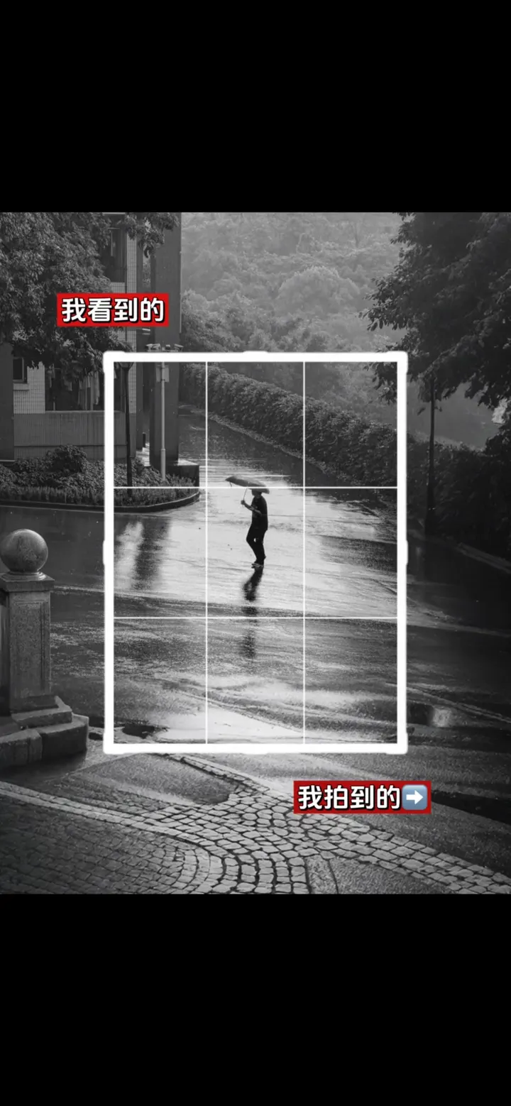 手机摄影笔记｜我看到的VS我拍到的