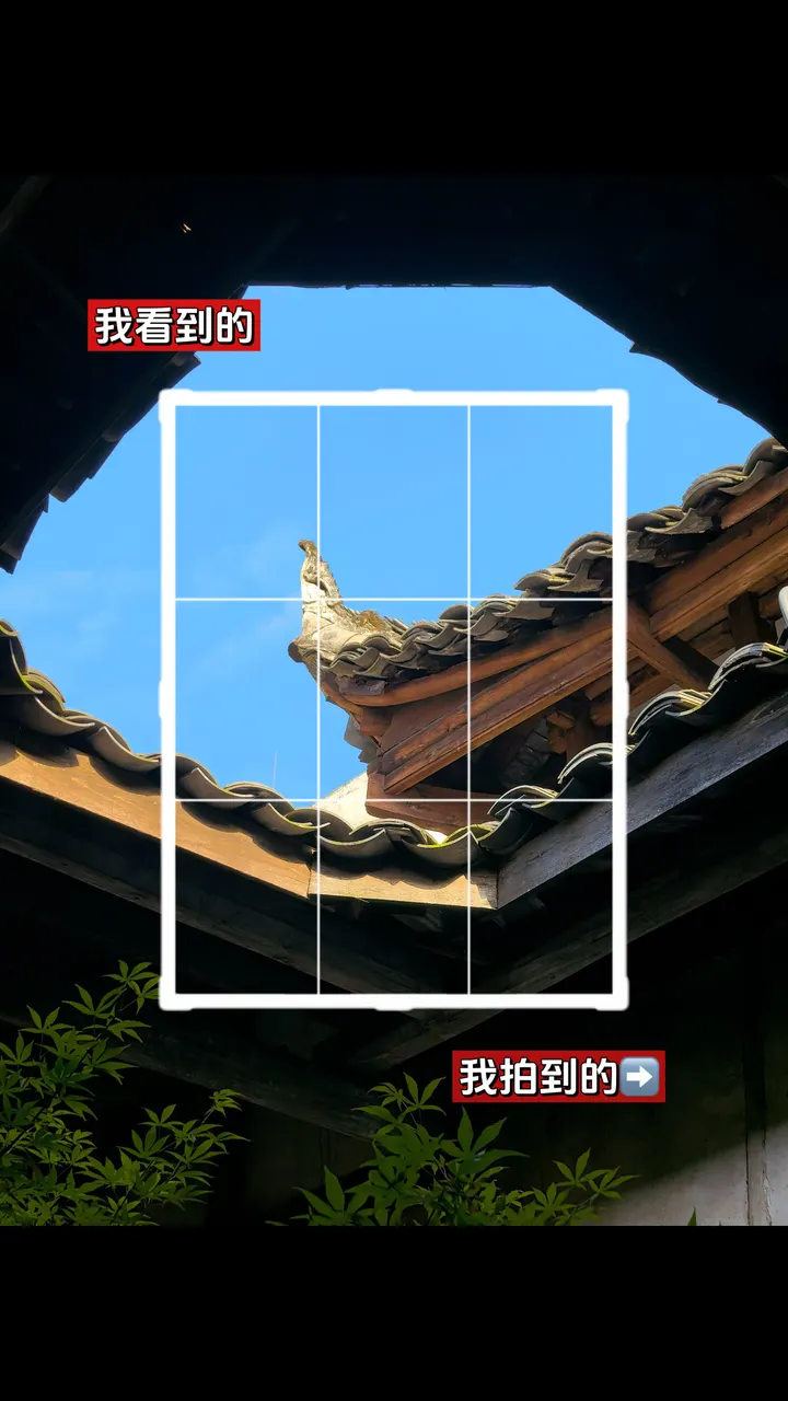 手机摄影笔记｜我看到的VS我拍到的