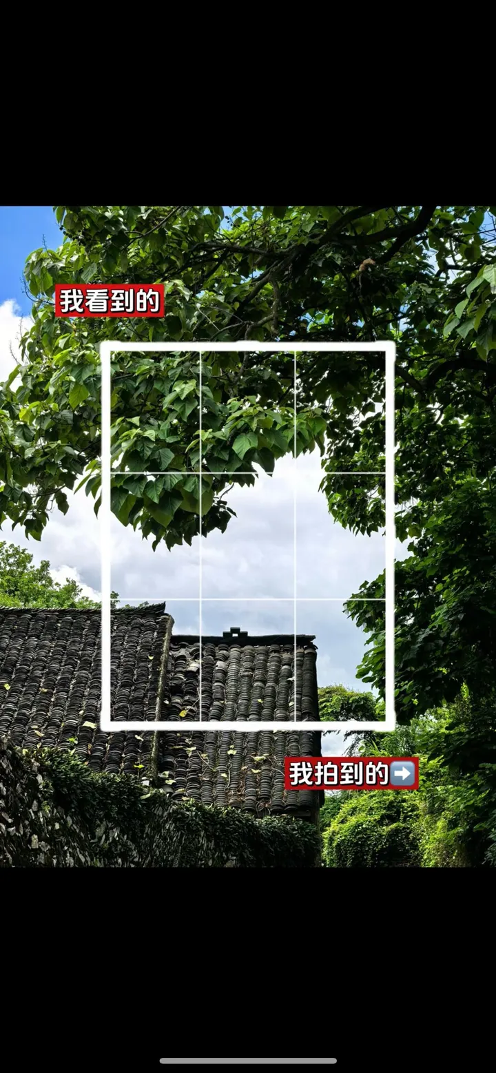 手机摄影笔记｜我看到的VS我拍到的