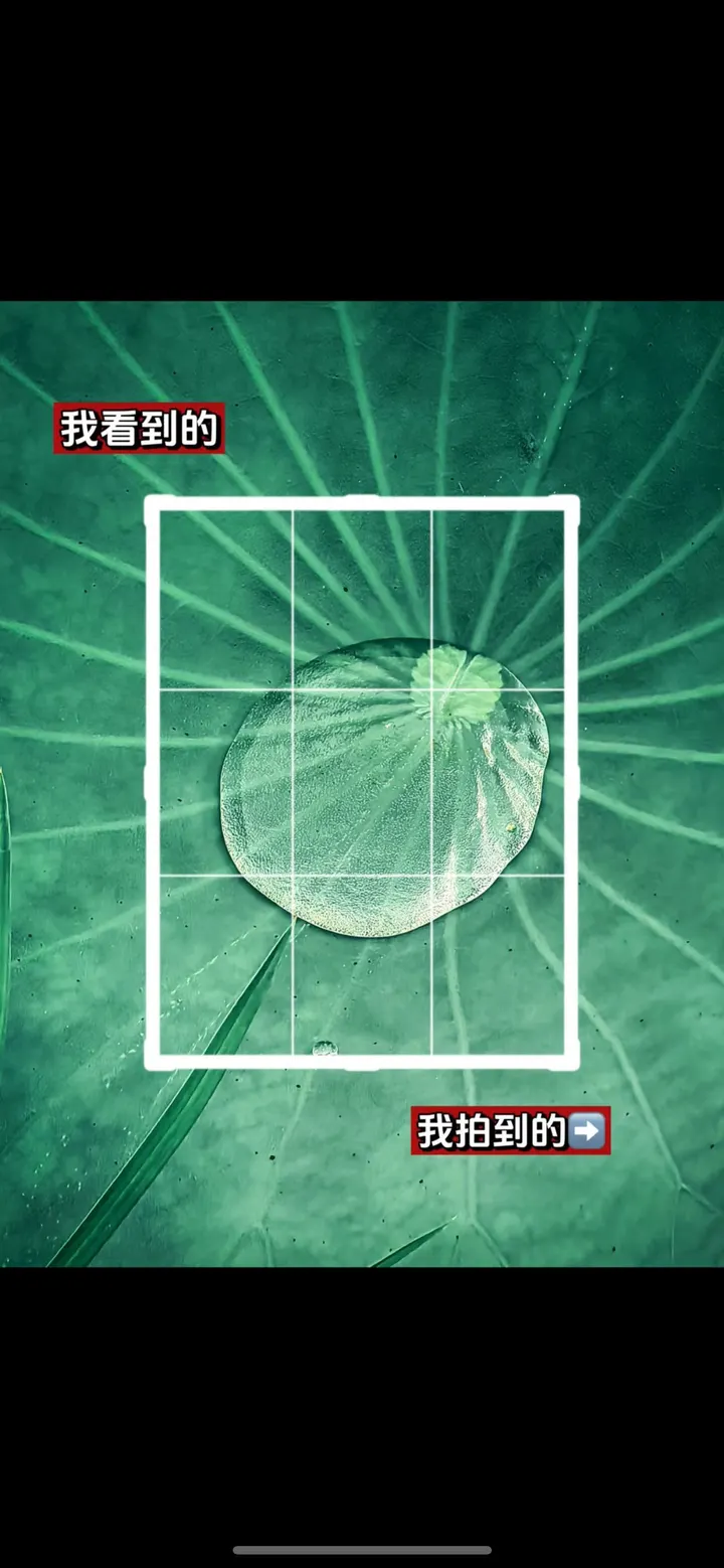 手机摄影笔记｜我看到的VS我拍到的