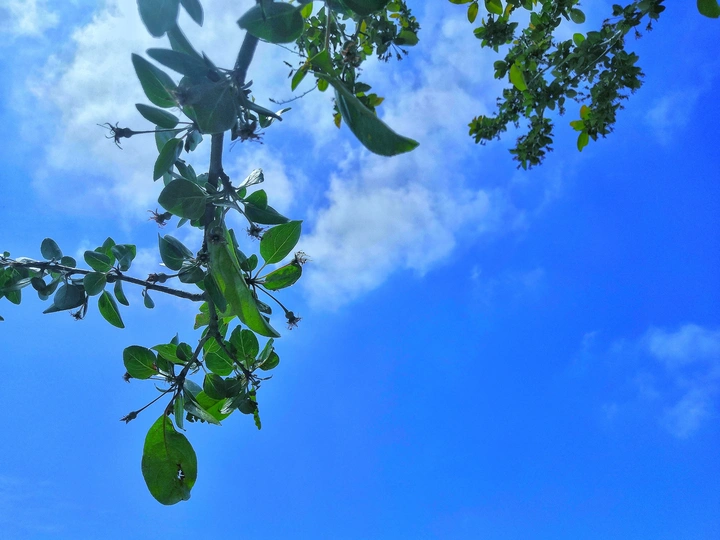 雨 后 的 天空☁️