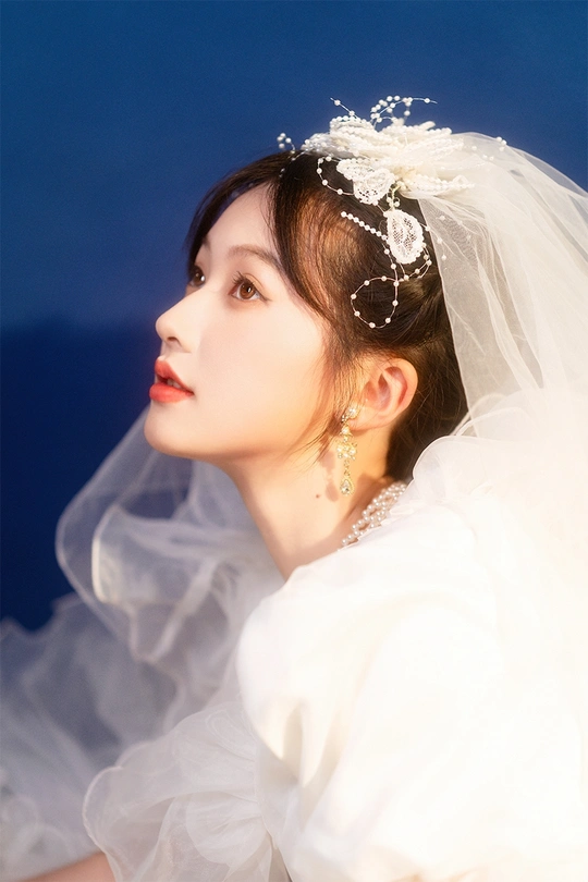 新娘穿着白色婚纱和头纱的肖像