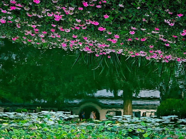 《宁静的夏天》