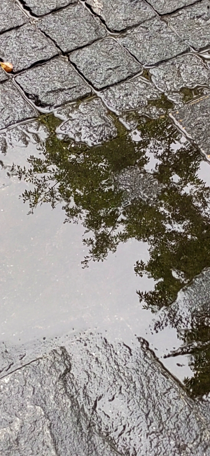 雨滴击碎水中天