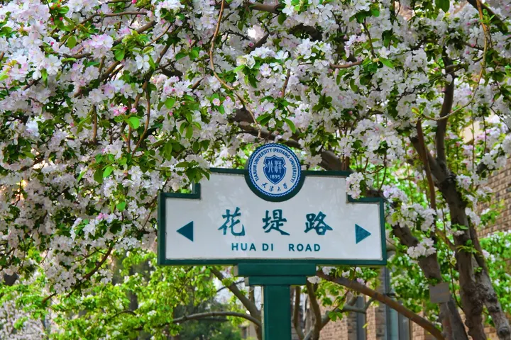 天津大学海棠节