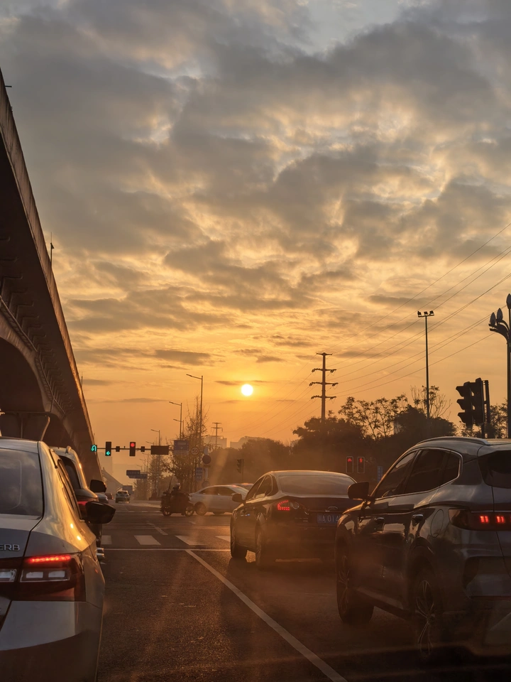 夕阳红