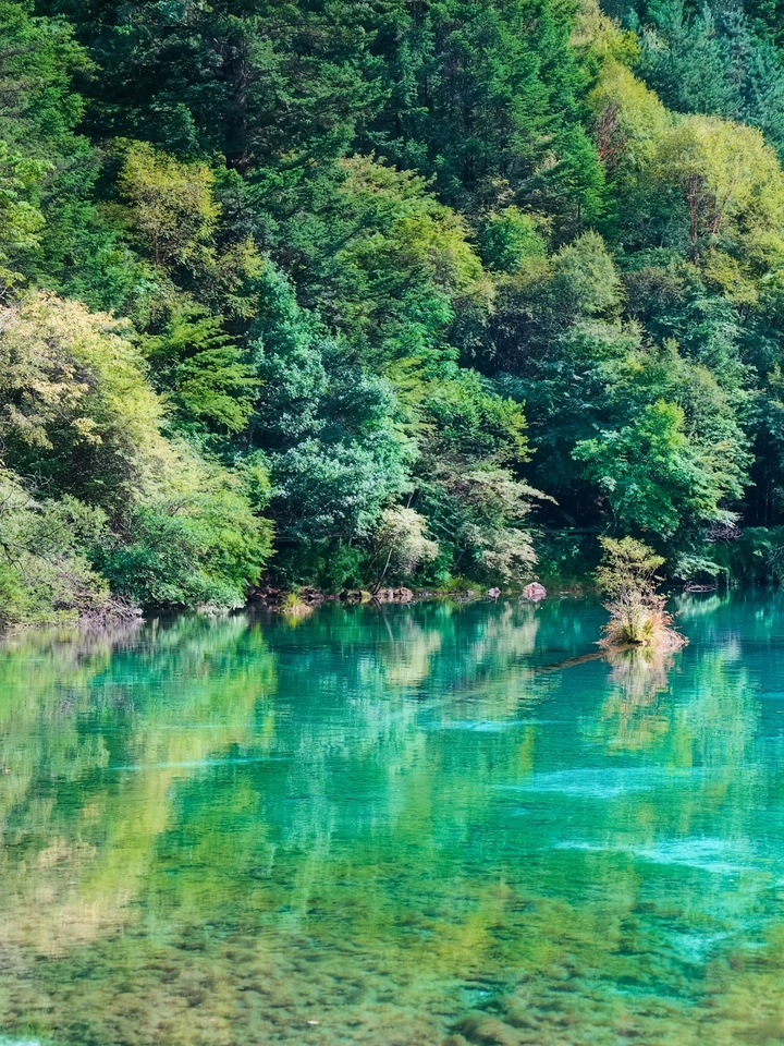 揽一池碧水，收万里星河?