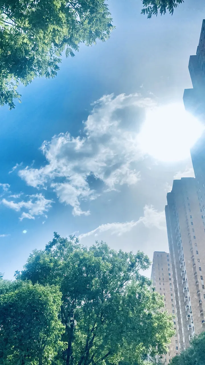蓝天、白云、太阳。