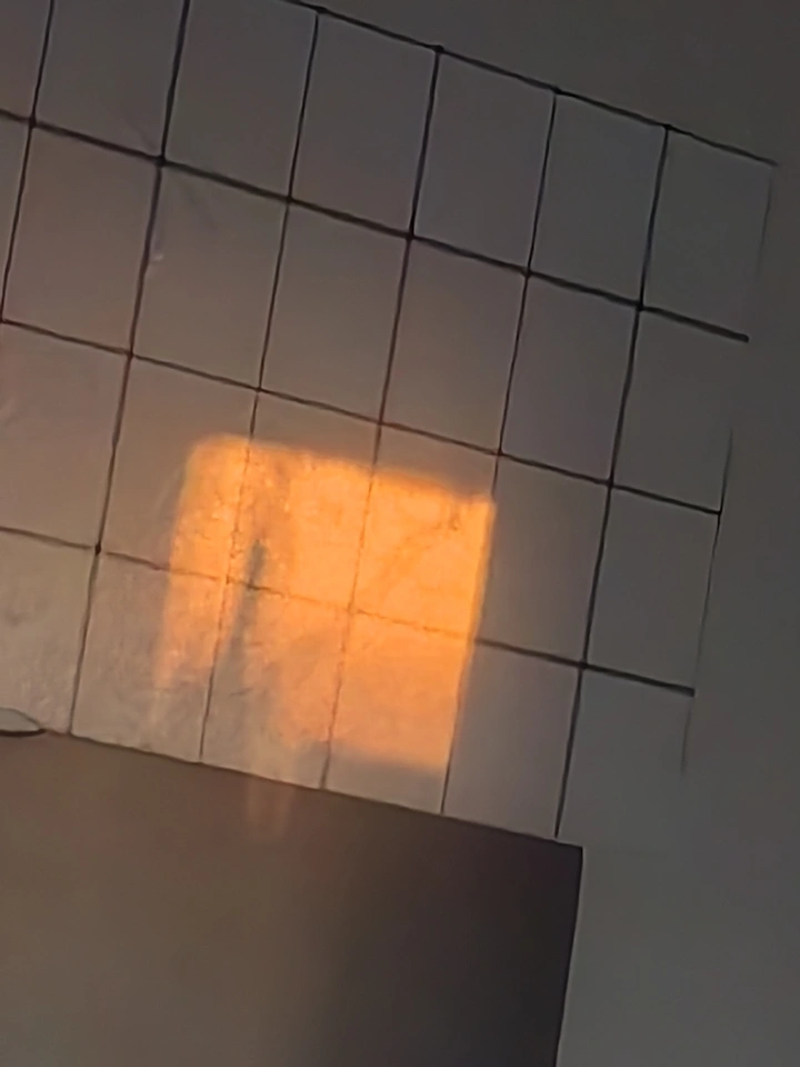 墙间夕光