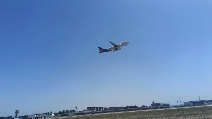 升空的巨鸟?