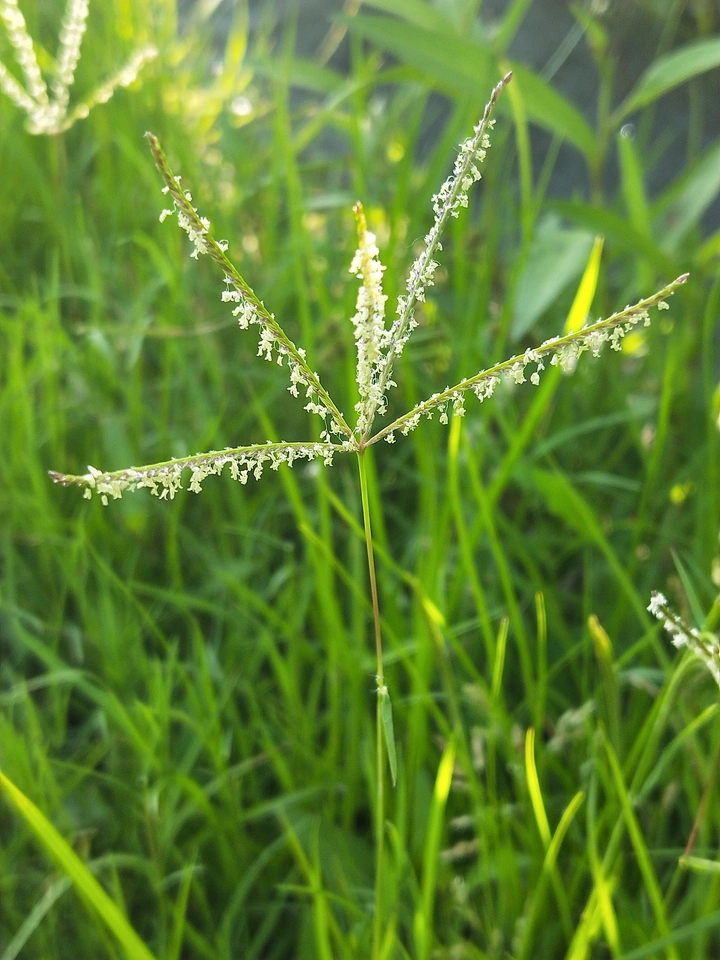 我在等风也等你（1）