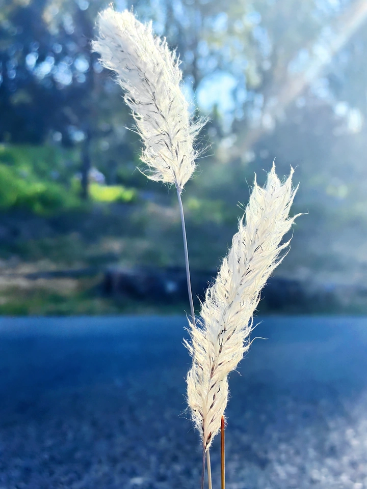 向阳而生的活力