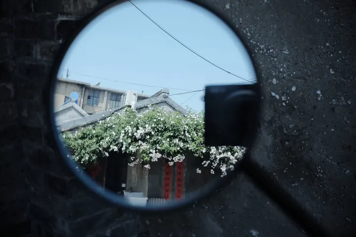 春之景-老城花房