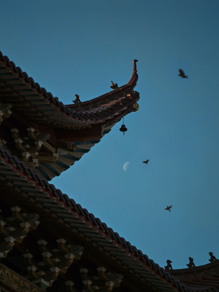 晨月