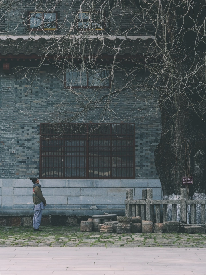 《对话》
