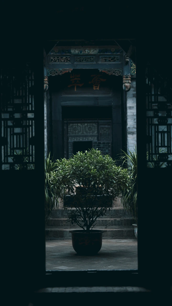 《庭院》