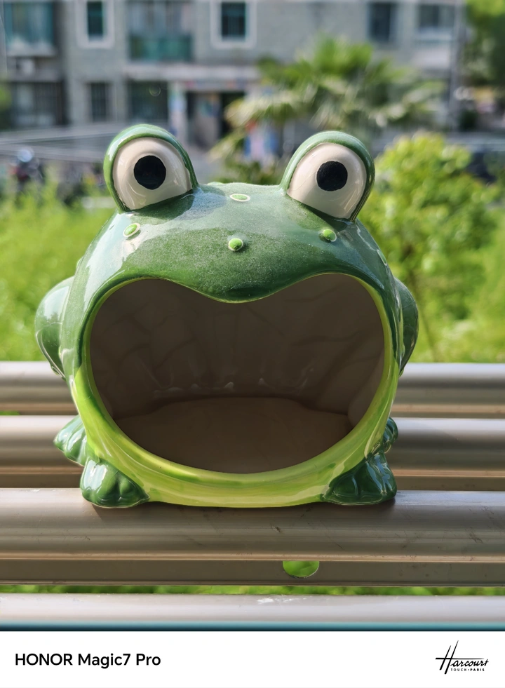 孤独青蛙🐸