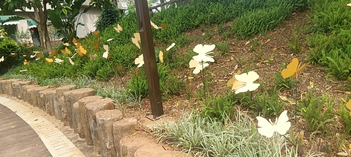 植物
