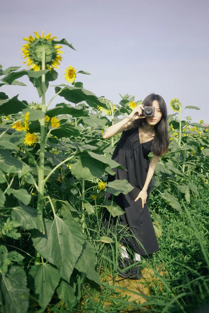 🌻向日葵花田日系仿胶片写真