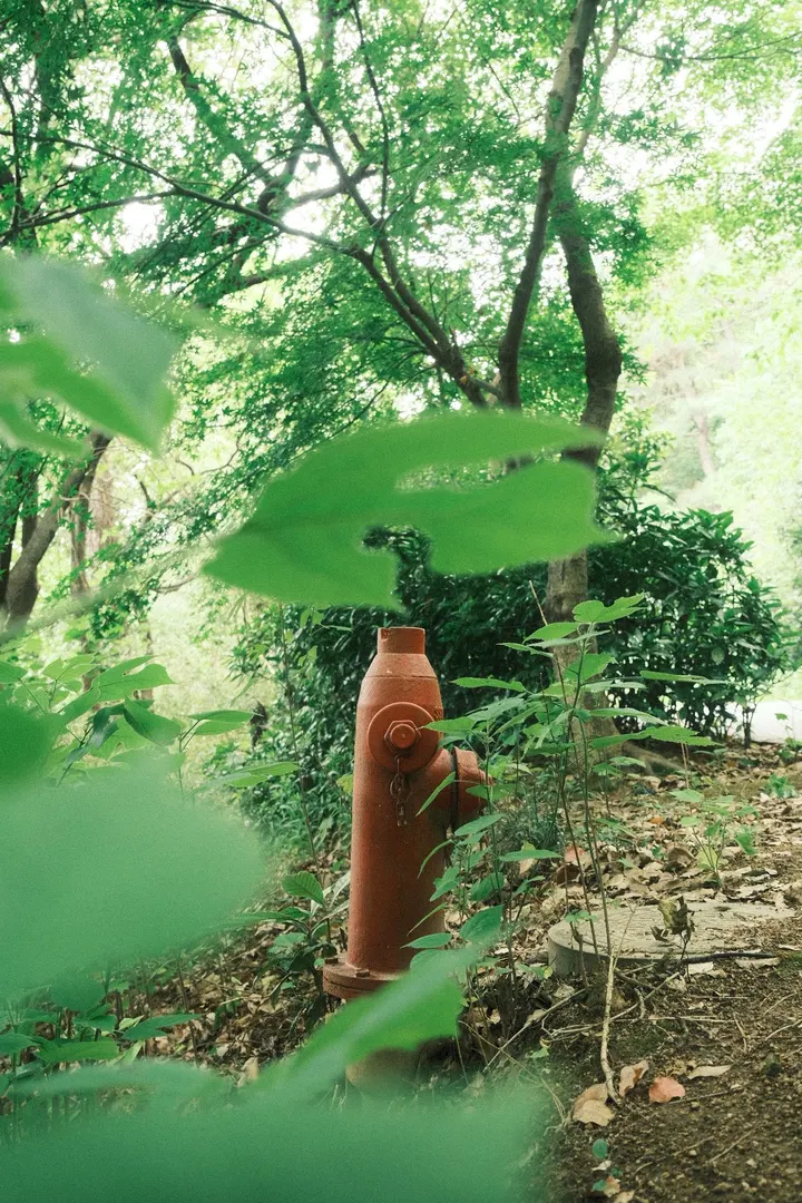 简简单单