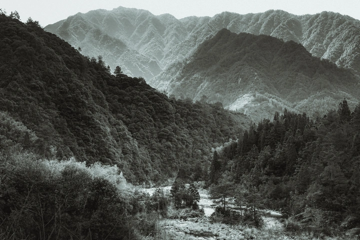 浙闽群山中的杨梅州桥