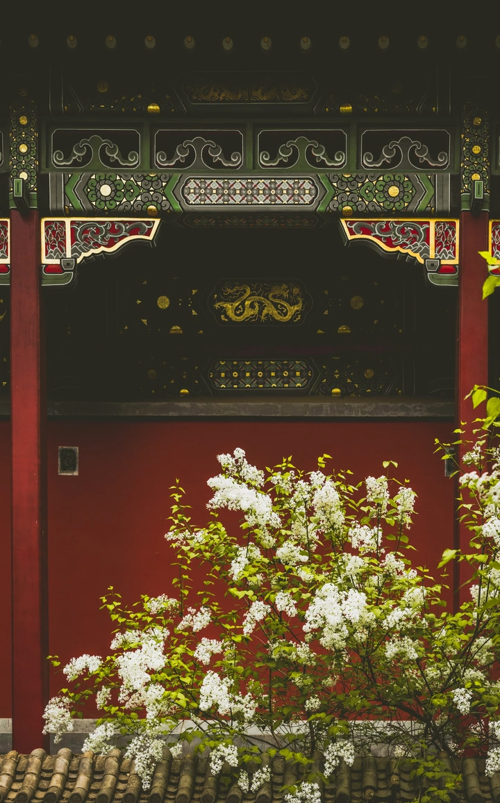 《潭拓寺》