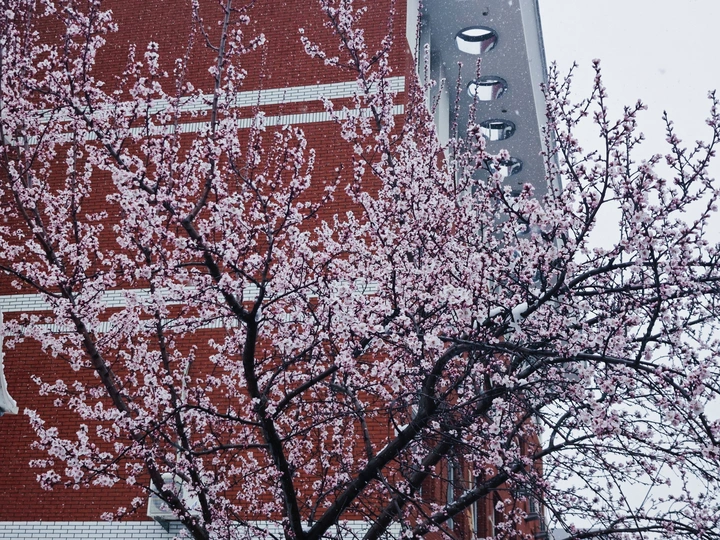 春