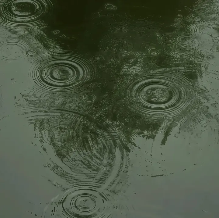 自是人生长恨水长东