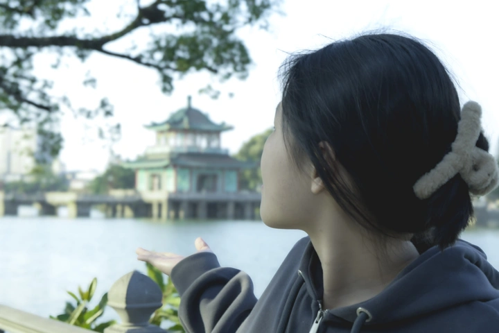 年年岁岁花相似 岁岁年年人不同