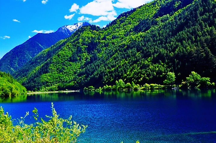 湖光山色入画来