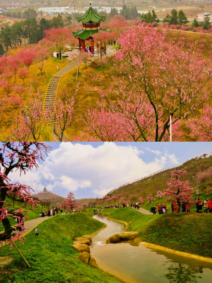 春日绮梦