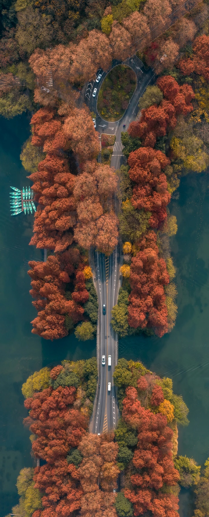 秋景杨公堤