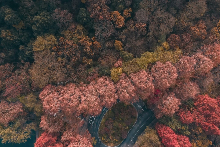 杭州  杭州