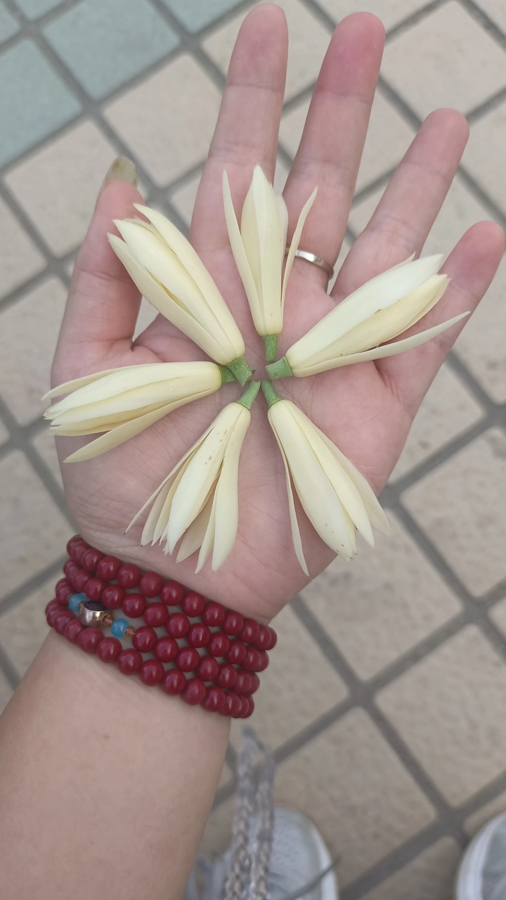芳华