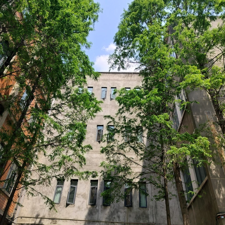 平淡生活的一角寂静如歌