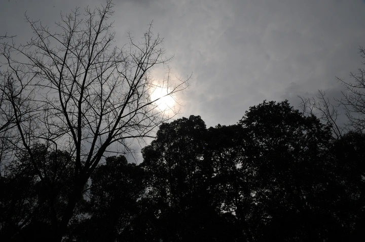 春日中的冬之歌