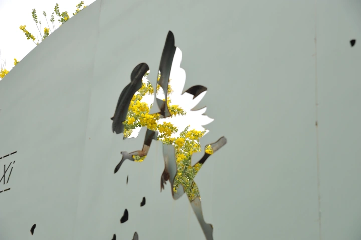 没有自知力的花仙