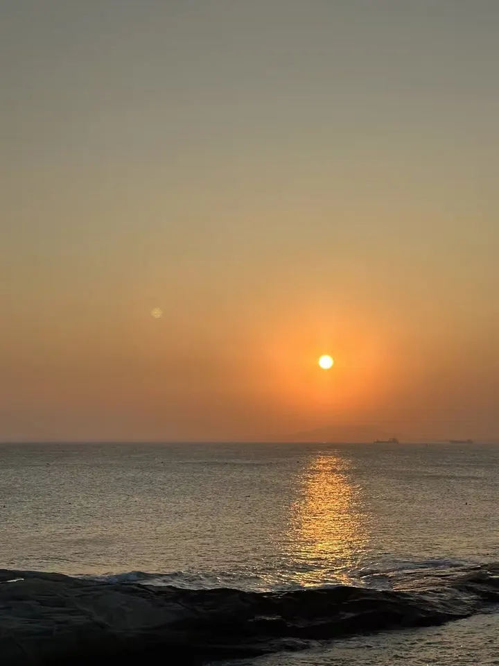 花海