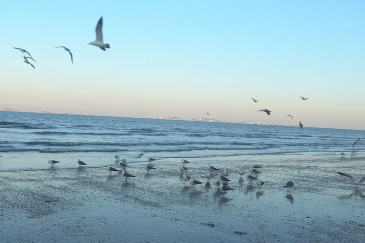 海的味道！