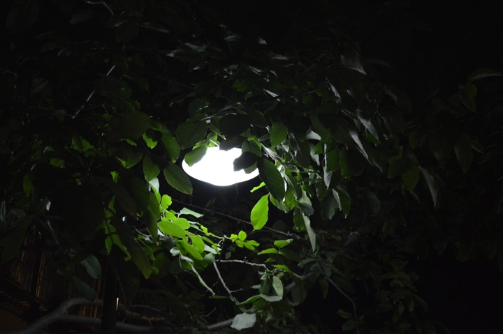 深夜