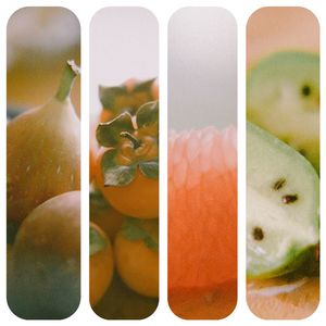 不同水果的一张图片