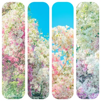 雪板上有树和花图案的雪板