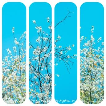 一幅有花和树的天空下的画