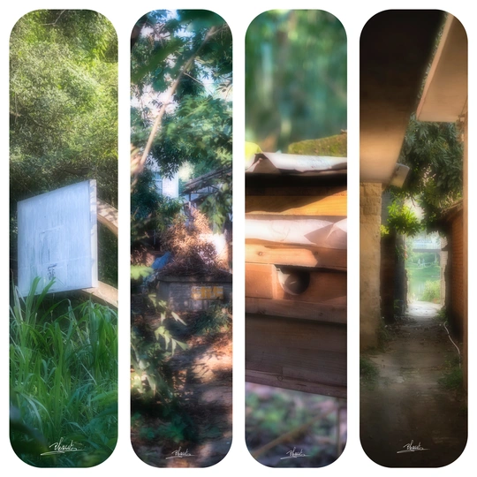 一排木制滑板停在草地上 靠近木凳和树木。