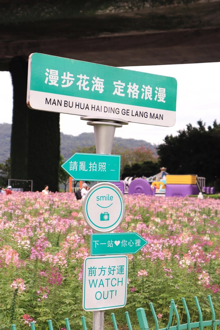 浪漫花路指引和绿枝映碧池