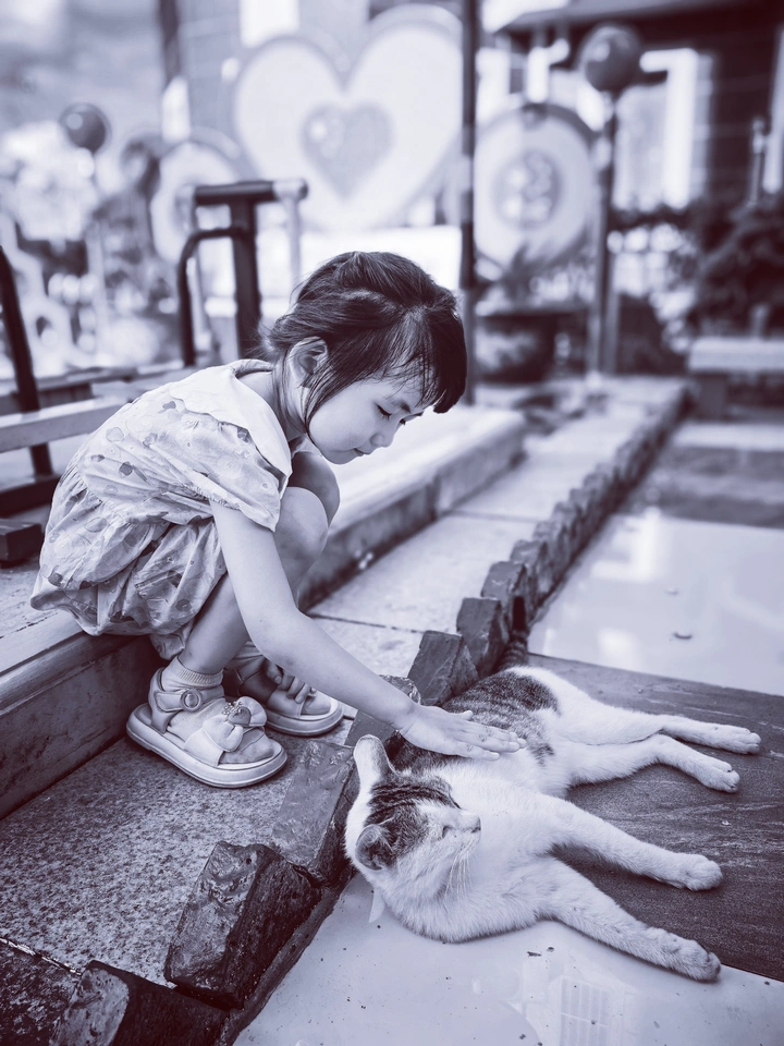 惬意时光