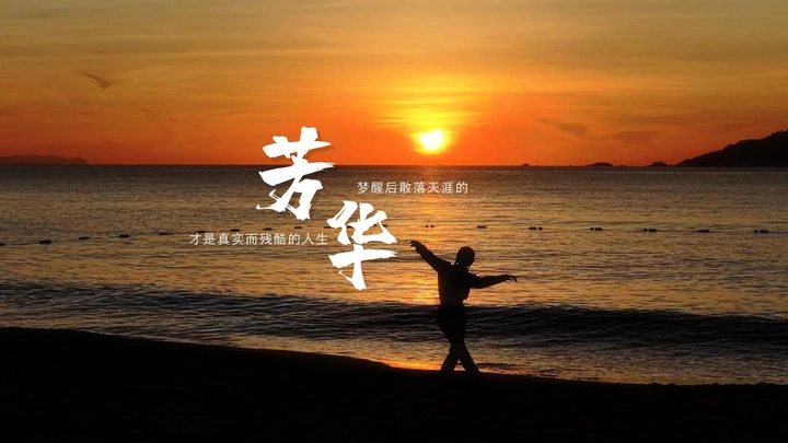 海边上一支《沂蒙颂》，是献给祖国的无声誓言；月光下一个不停舞，是写给母亲的青春诗