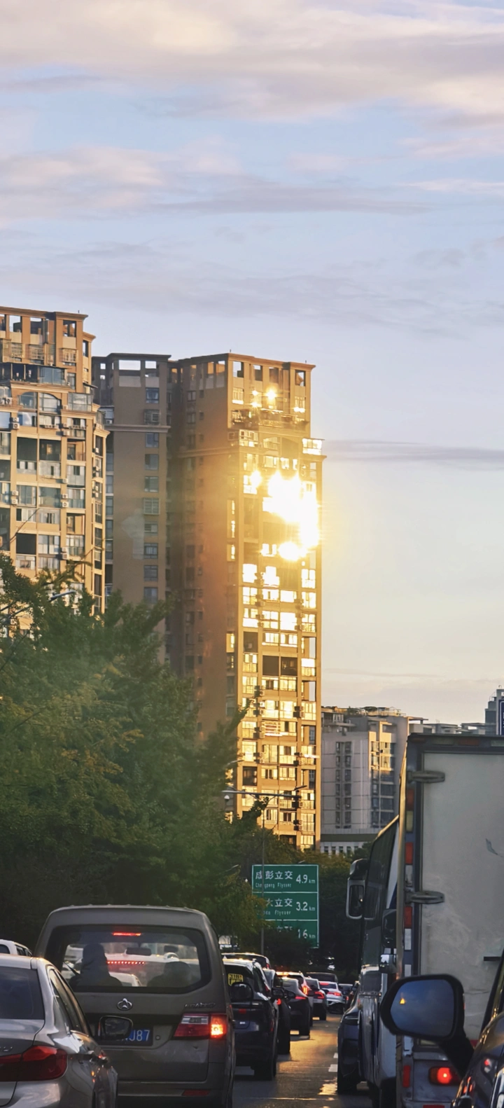 周一上班路阳光温暖