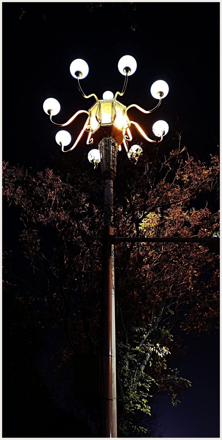 夜寒孤灯明