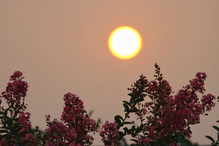 夕阳